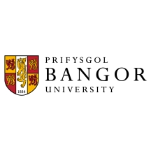 班戈大学