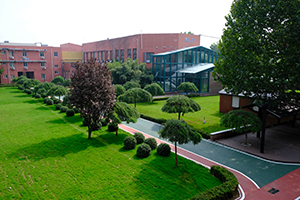 国际学校招生