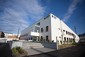 国际学校招生