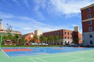 成都新津墨尔文学校篮球场