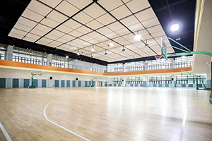 国际学校招生