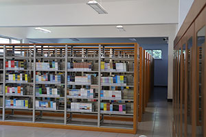 国际学校招生