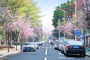 国际学校招生