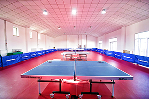 北京青苗国际双语学校怀柔国际部