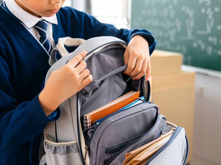 湖南的国际学校