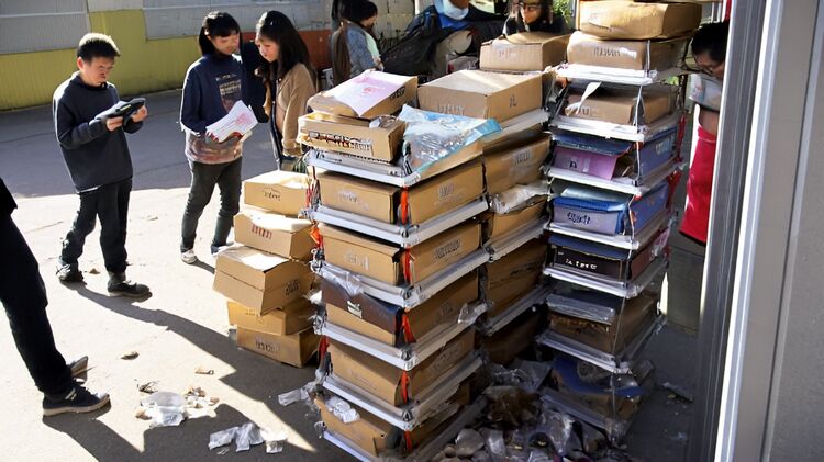 2025上海浦东常青藤小学怎么报？家长必看