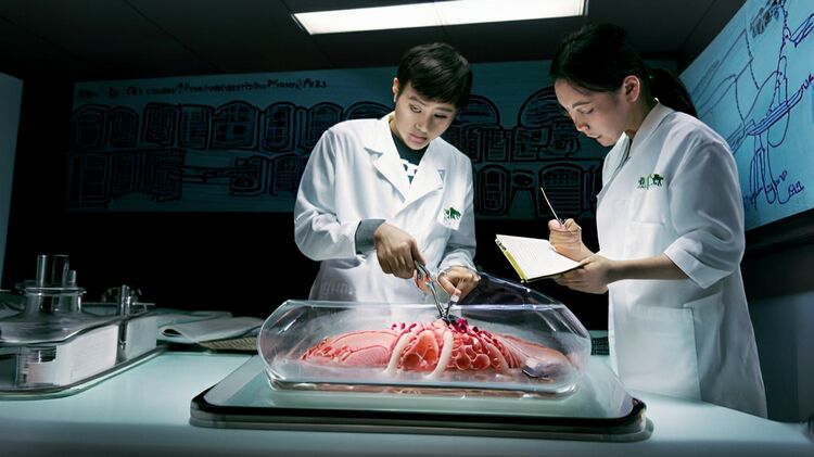 2025北京大兴熙诚学校开放日怎么报名？国际班&高考班全攻略