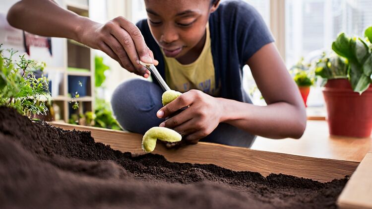 米德尔顿荣光高中2025秋招怎么报？家长必看