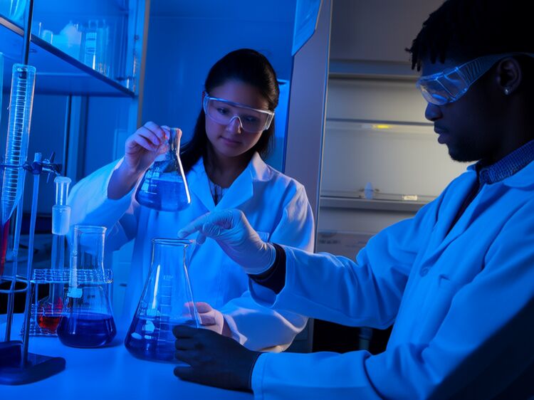 君谊星星新初中启明班2026年招生信息详解