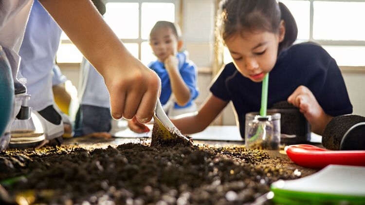 深圳港人子弟学校2025招生简章