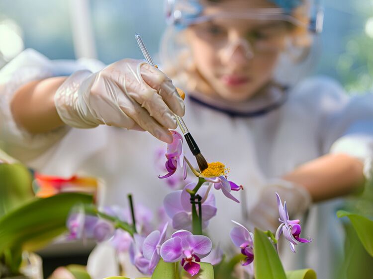 上海民办位育春招攻略｜73%进世界Top30名校