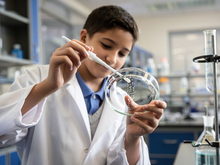 上海籽奥高中A-Level课程强在哪？2026春招家长必看