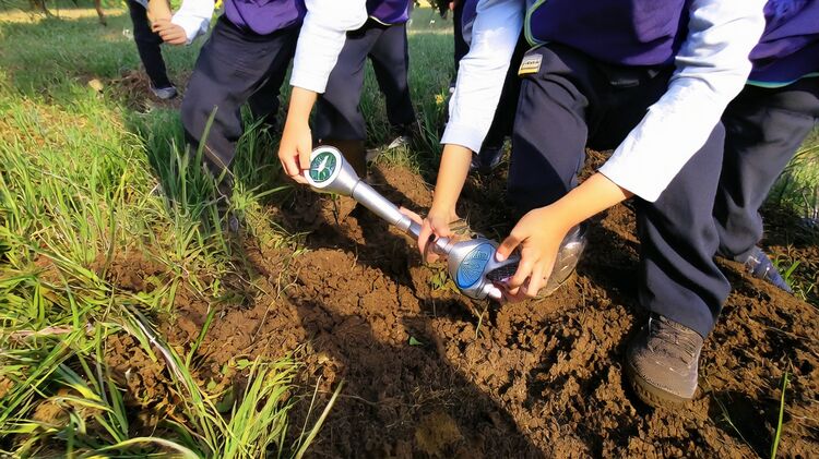 2025杭州公办国际部怎么选？七校对比全解析