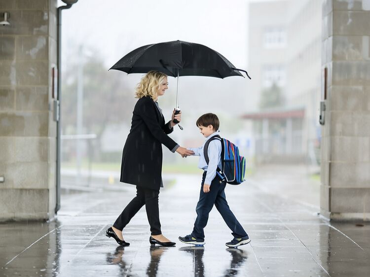 深美宝安2025录取结果出炉！这些名校都收了谁