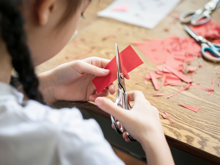 上海IB成绩放榜！平和世外尚德谁拿满分？