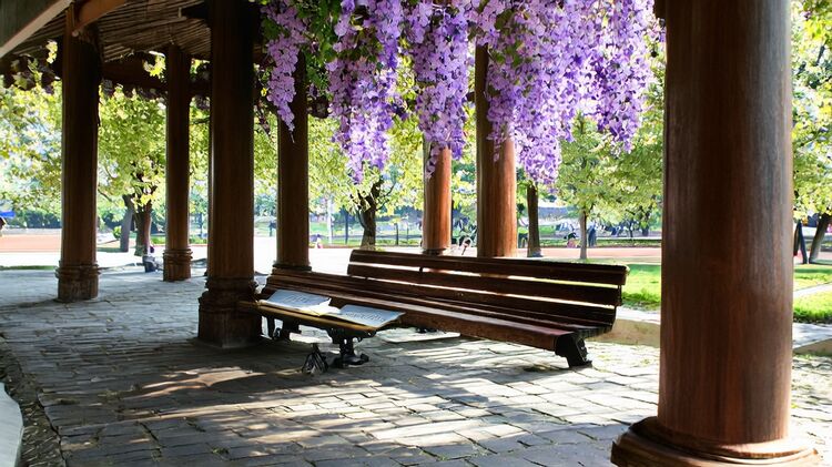 鼎石学校怎么申请？2026入学攻略来了