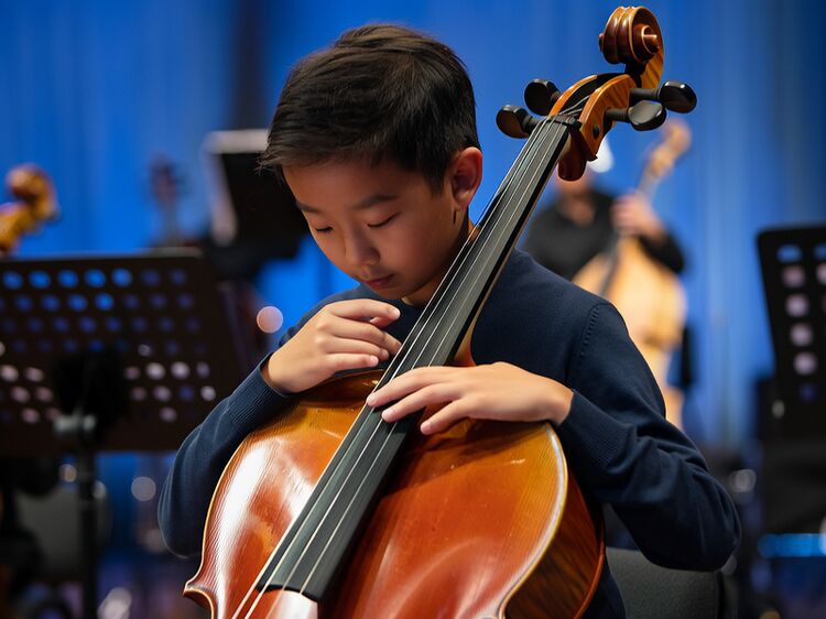 上海震旦职院高中班2026招生政策全解析