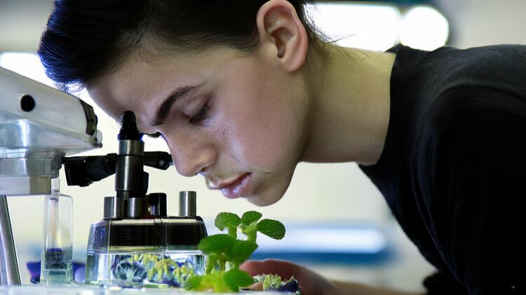 无锡协和双语国际高中2025招生指南