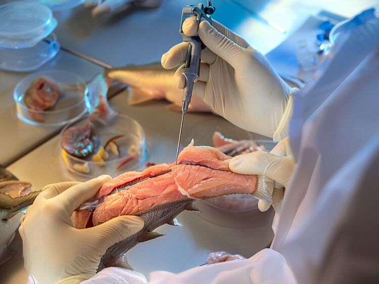 青浦世外高中招生指南：适合谁报？怎么进？