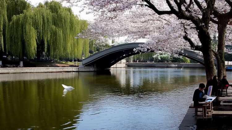 8月探校！电子科大A-Level开放日体验课来了