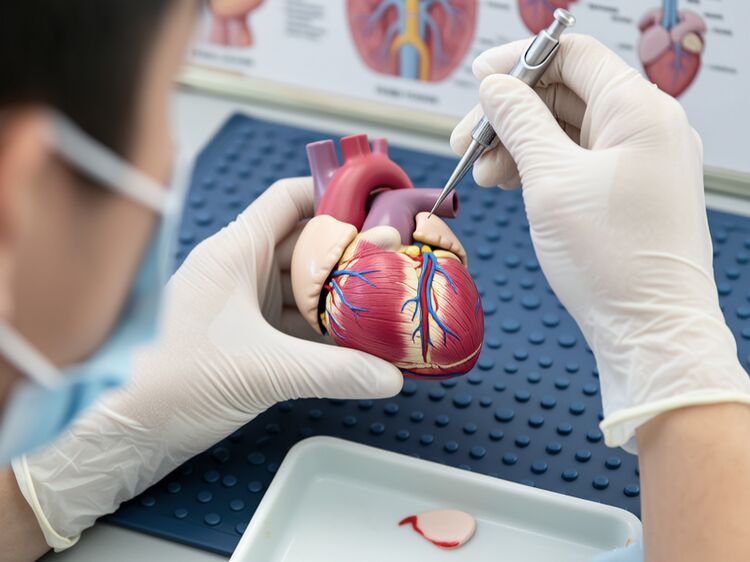 贝塞思国际学校学费