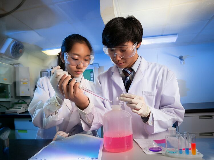 爱莎国际学校荔湾区