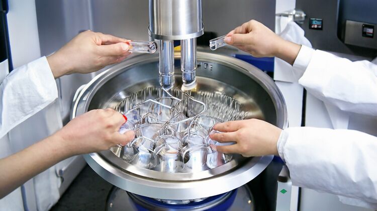 梅州国际高中排名前十名