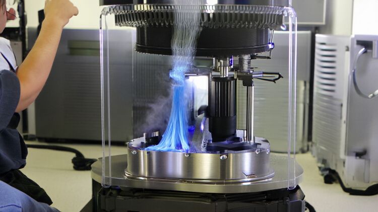 上海星河湾双语学校美高AP课程2026学费多少