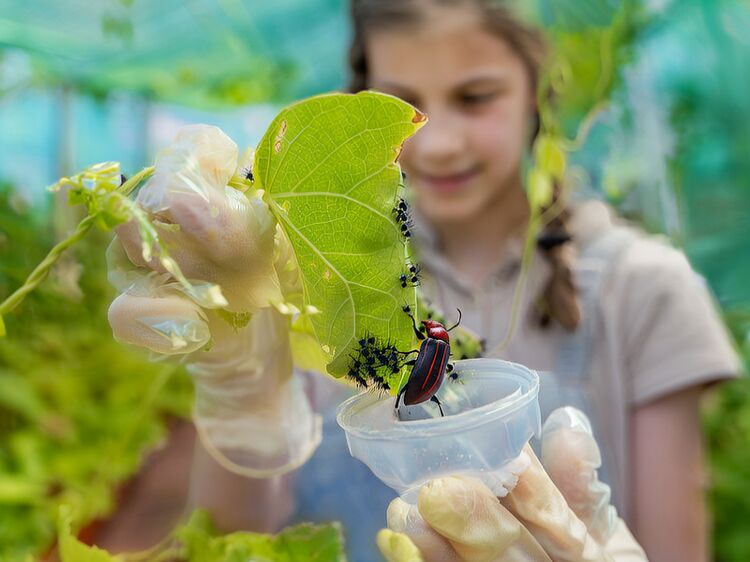 重庆哈罗礼德学校校园开放日报名开启
