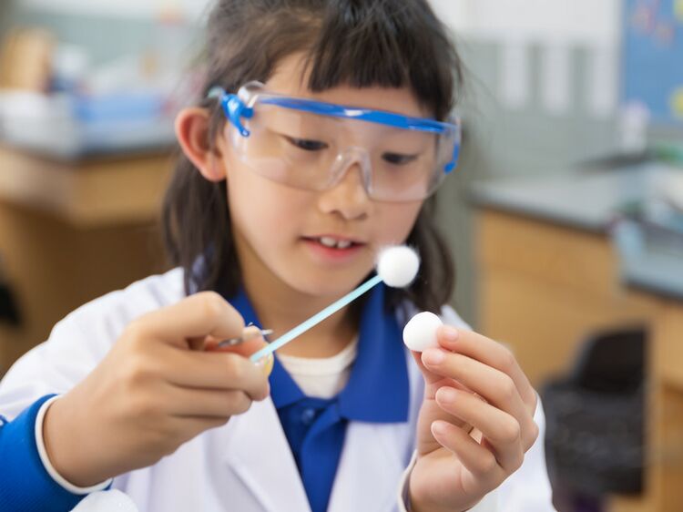 广州贝赛思双语学校报名开启，2026年9月开学